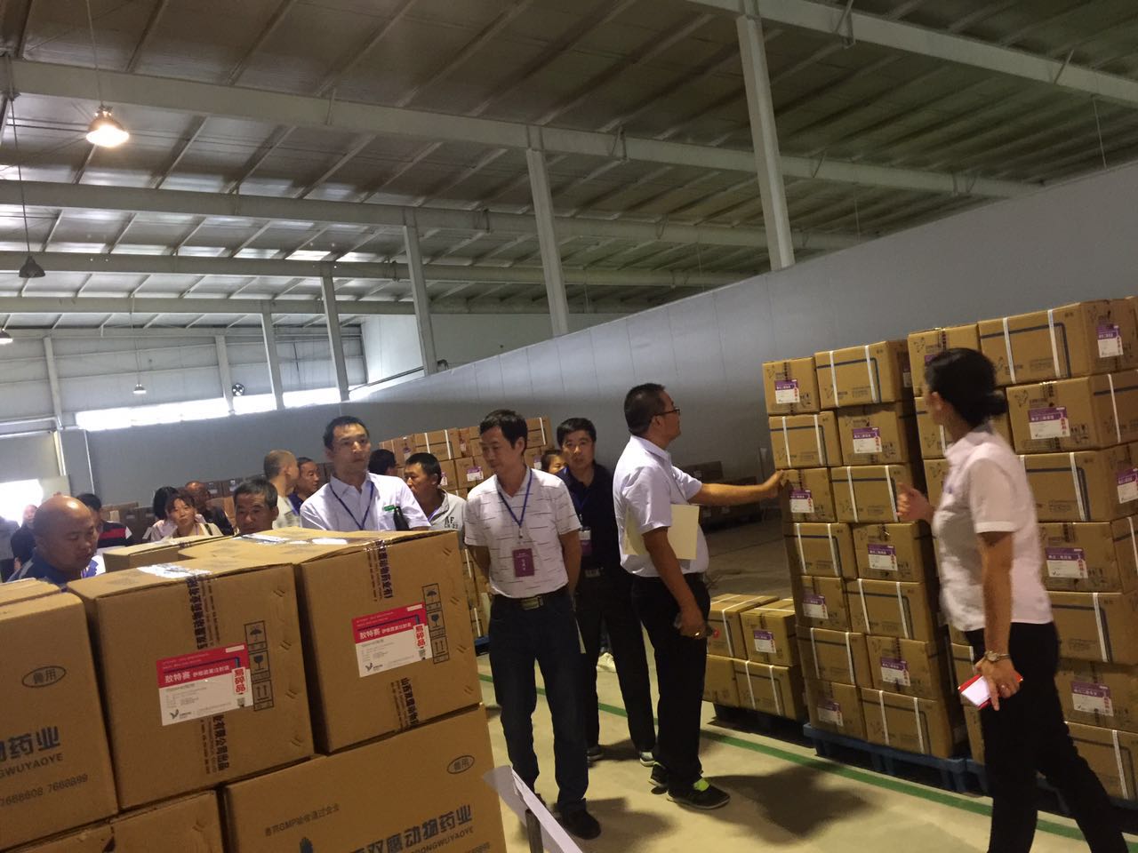 騰飛的雙鷹--與您共創(chuàng)企商未來