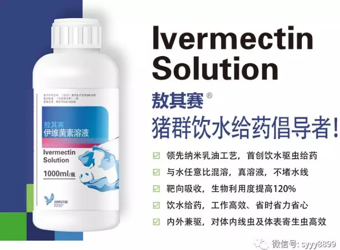 敖其賽-豬群飲水給藥倡導者！