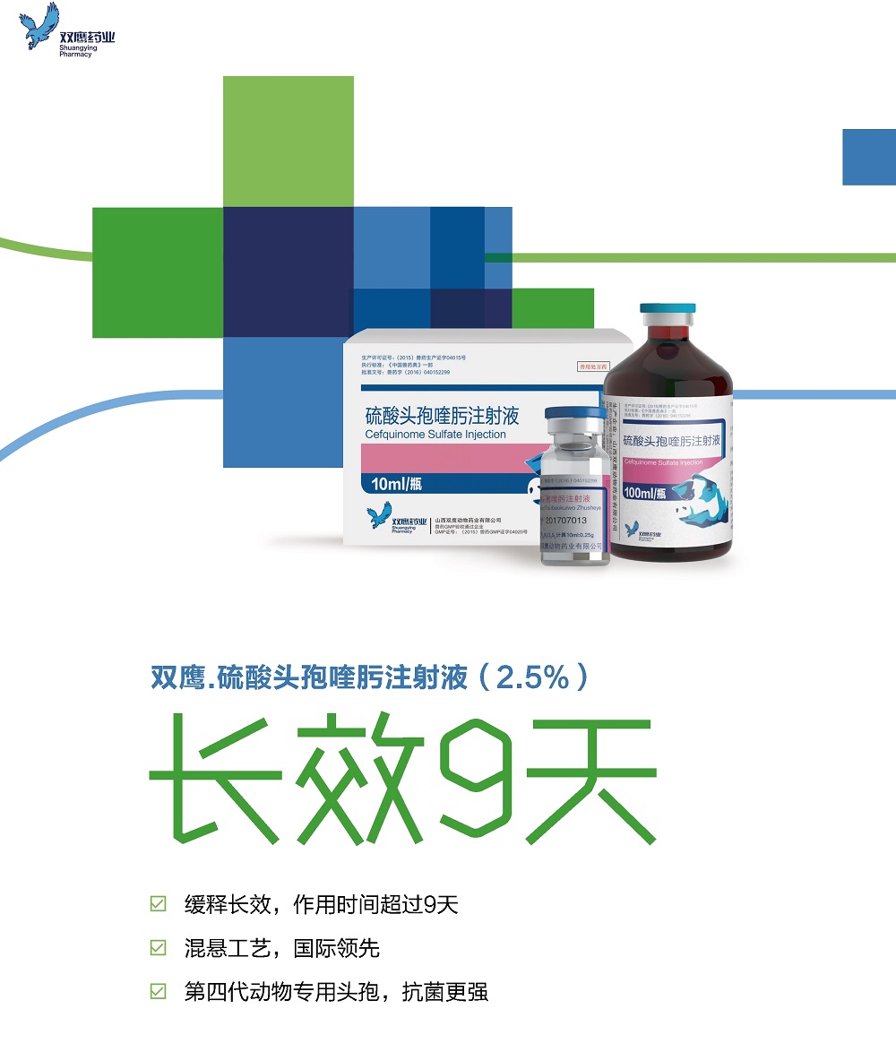 雙鷹.硫酸頭孢喹肟注射液